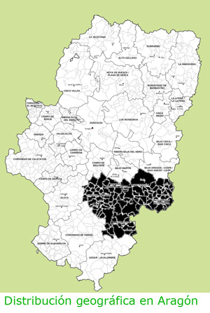 Mapa de Aragón con la distribución de la raza Ojinegra